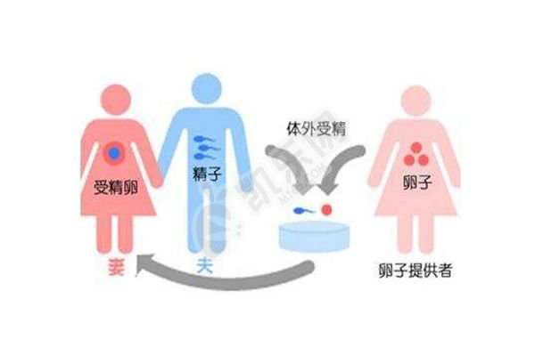 杭州靠谱代生价格,试管婴儿和普通婴儿到底有啥差别？不是寿命、智商，而是