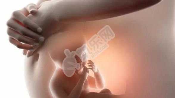杭州供卵代生包男,50岁的她历经5次流产、试管失败、卵巢子宫肌瘤和宫外孕后