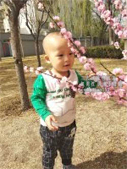 杭州靠谱供卵机构,河南省人民医院生殖中心试管婴儿成功率多高？