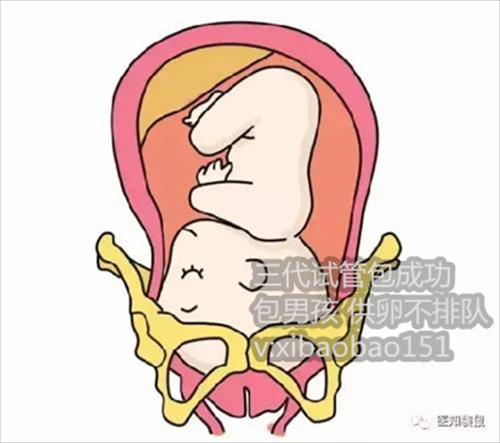 杭州合作代生儿子,做泰国第三代试管婴儿什么时候开始检查身体？